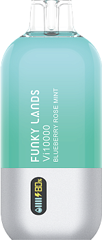 Funky Lands Vi10000 одноразовый POD "Blueberry Rose Mint / Черника Роза Мята" 20мг.